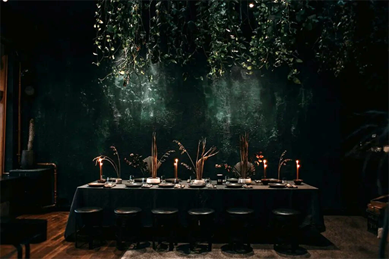 Pflanzen und Kerzen auf einem Tisch in einem dunklen Raum.